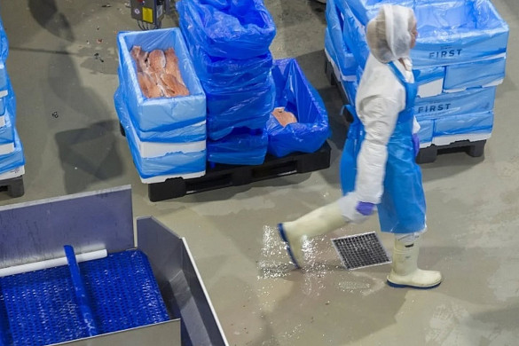Industriālo grīdu risinājumi, kas atbilst HACCP prasībām un mūsdienu ražošanas videi